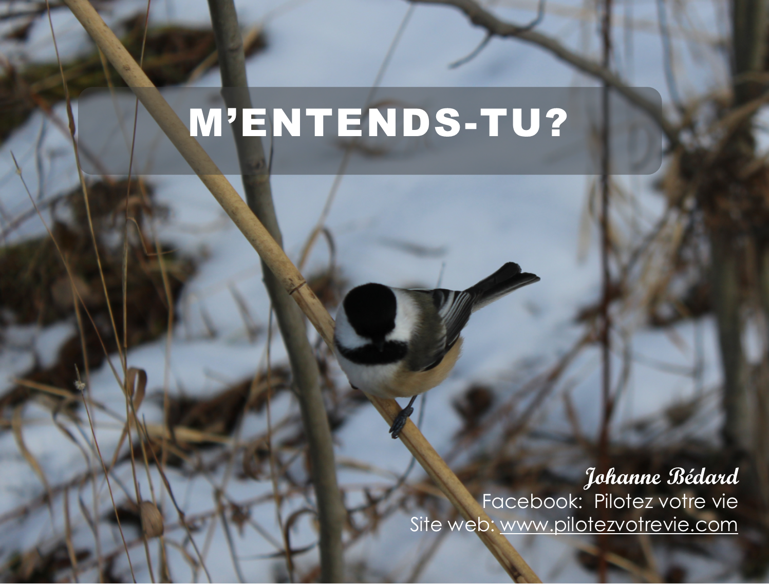 M'entends-tu?