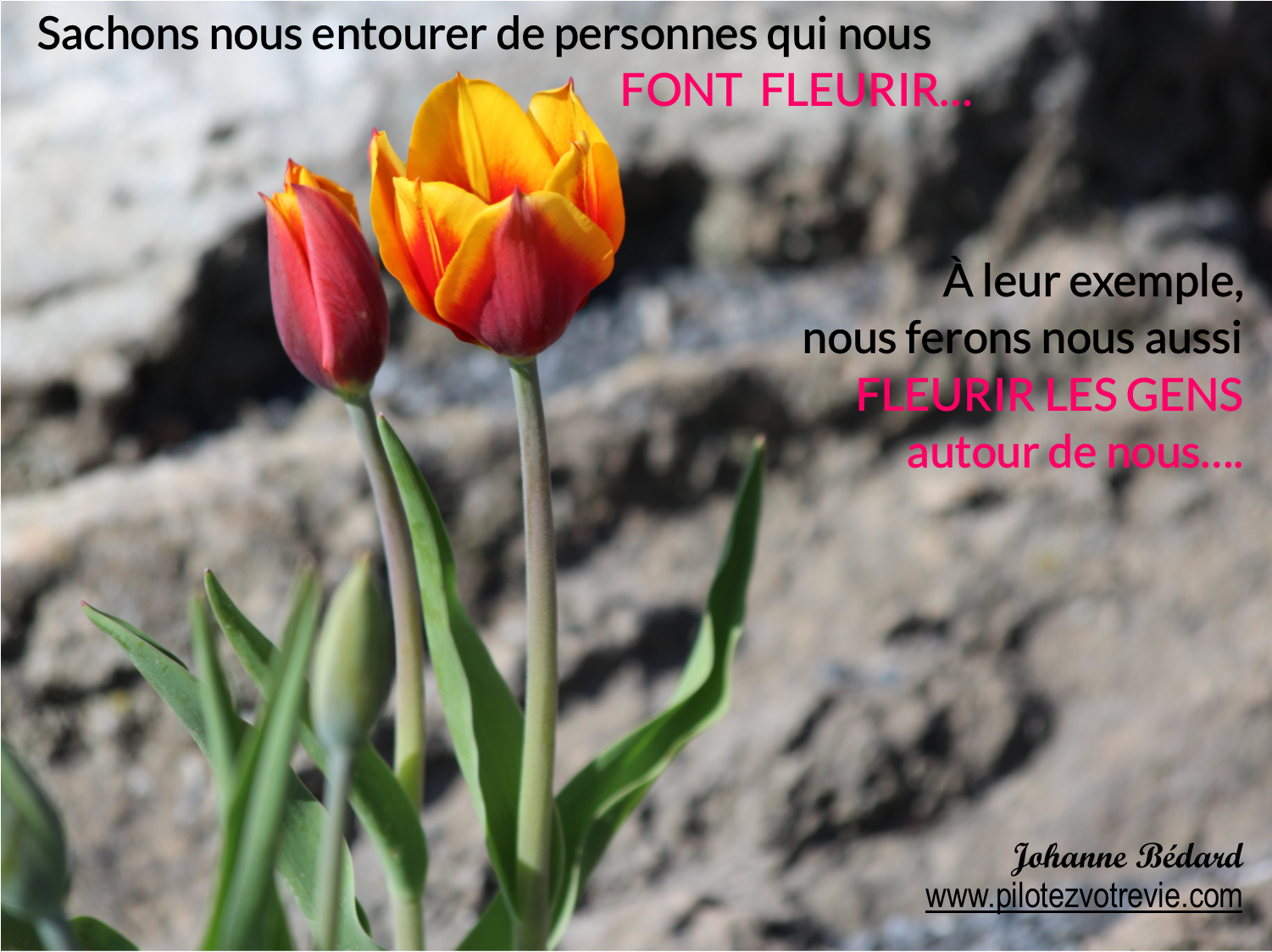 Faisons FLEURIR les gens...