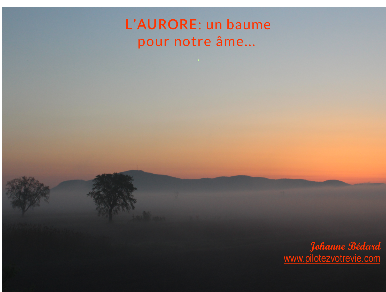 Aurore: puissant énergisant