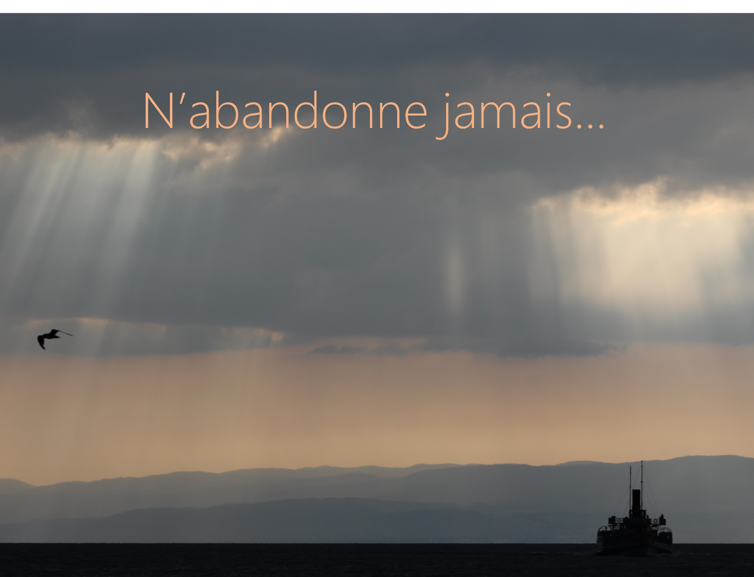 N'abandonne jamais