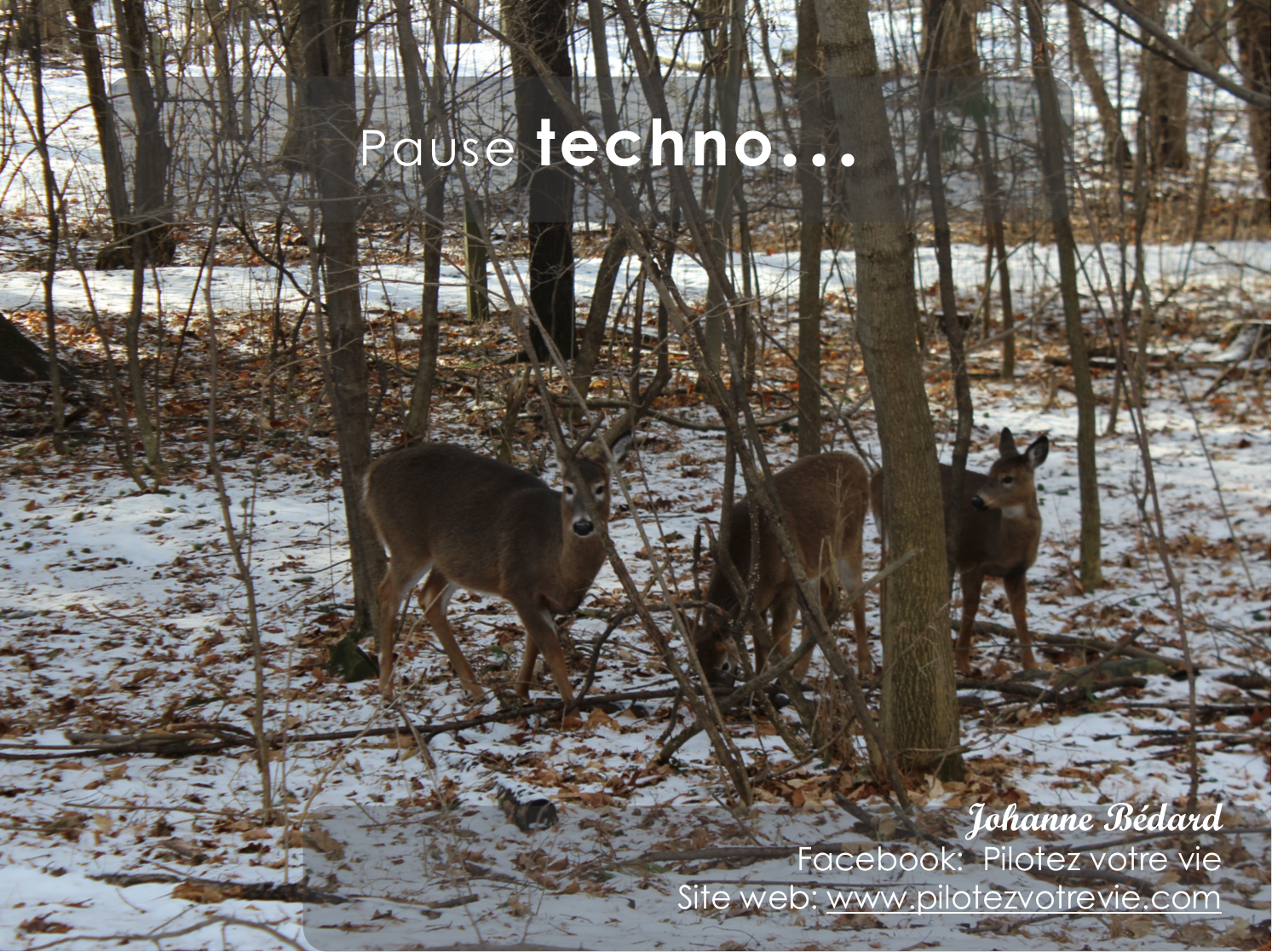 Pause techno...