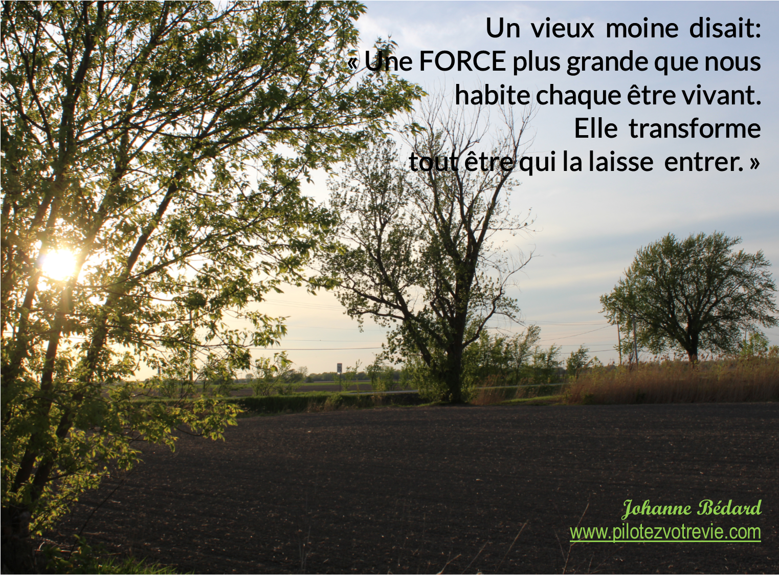 Faire confiance...