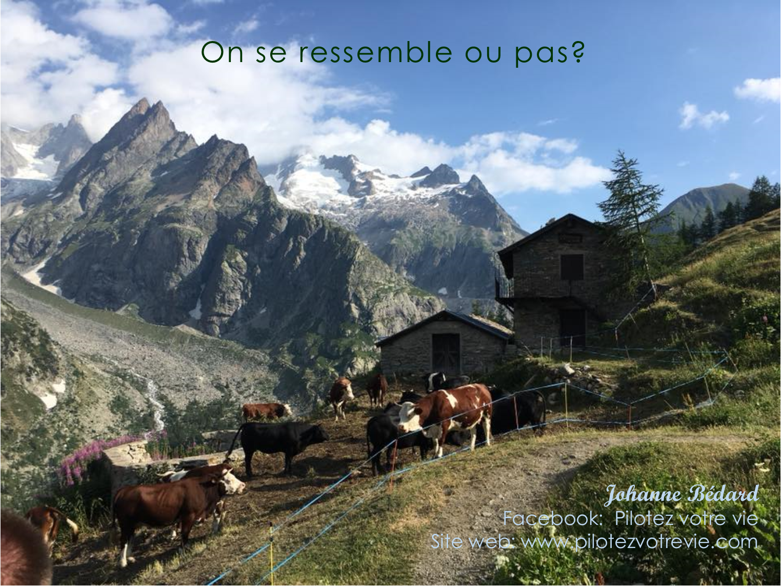 Cessons de RUMINER...
