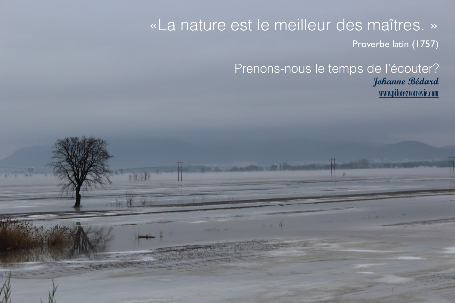 La nature: notre maître