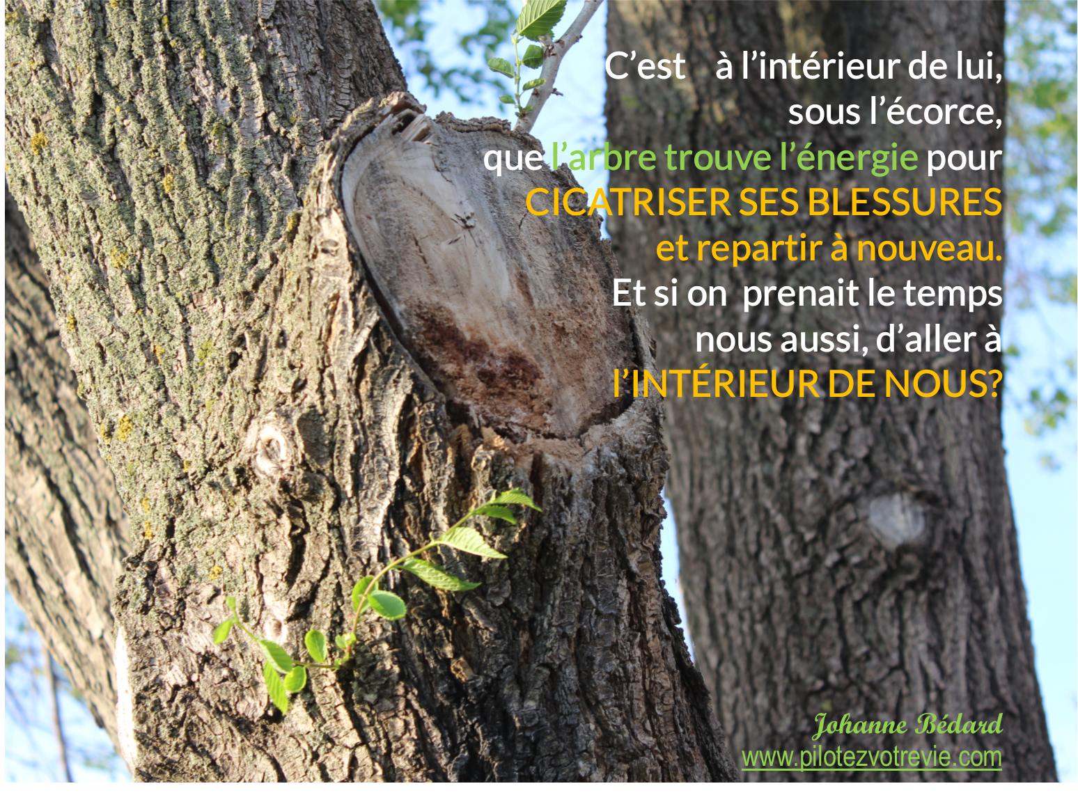 Blessures du passé...