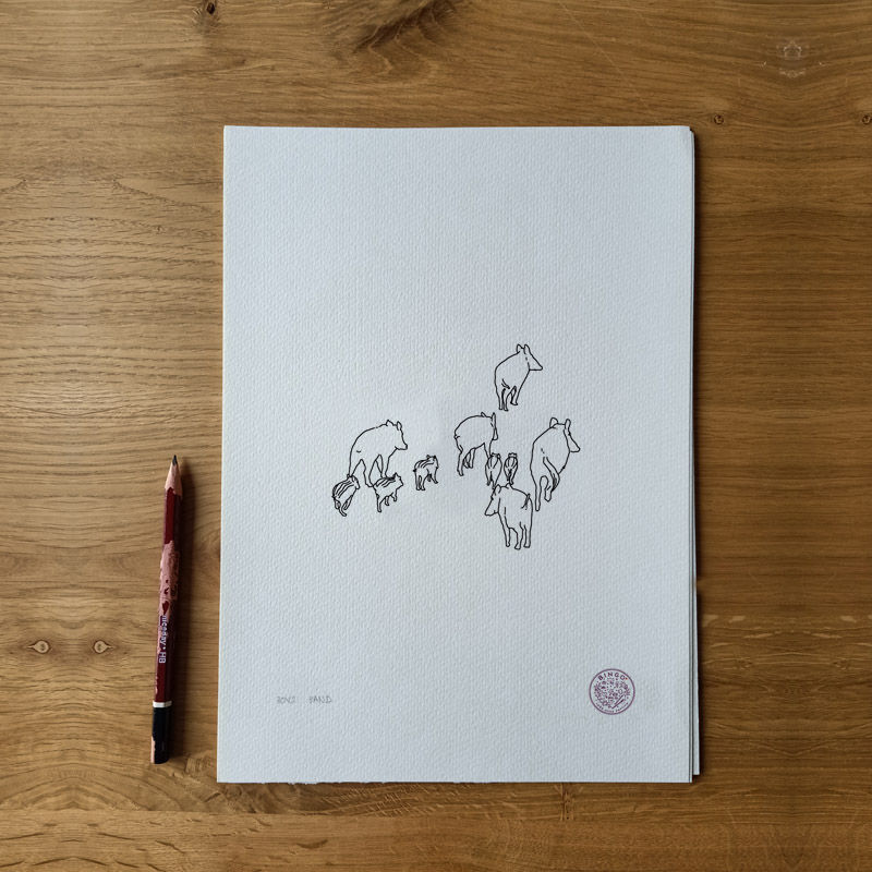 Miniature : Illustration "chasse" - différents modèles