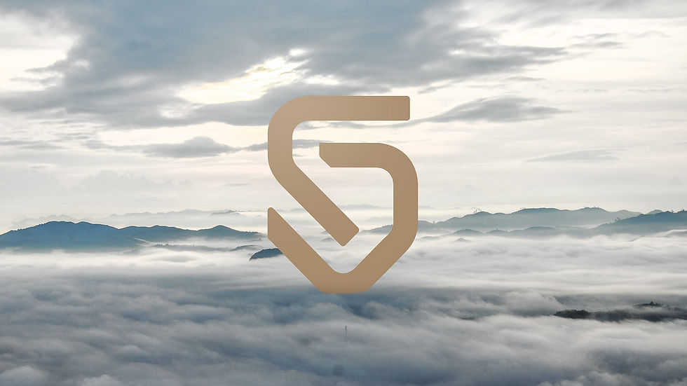 Branding Savelli