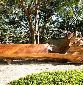 Memorial Parque das Cerejeiras