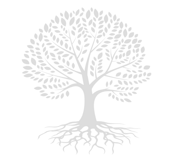 arbre_edited_edited.png