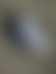 A loaded gun wrapped in a shirt