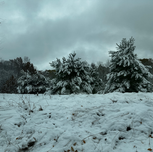 Seasonal Affective Disorder in Ohio: What It Is, Why It Happens, and How to Feel Better