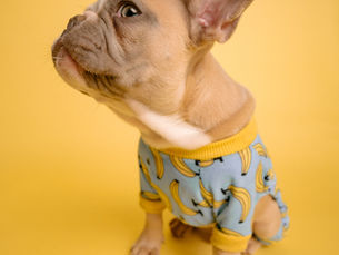 Logo-ul tău nu te face bogat. Strategia de brand o face!