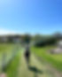 24708B44-98E7-43DE-B08D-D08118D73C24.JPG