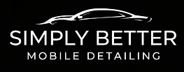 Minimalist logo for mobile detailing copy.png