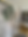 Mustertapete im Wohnzimmer bei Kunden im Raum Stuttgart. Renovierung, Altbau, Maler, Tapezieren