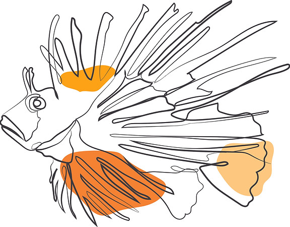 lion fish orange 3-1.jpg