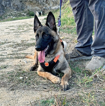 WhatsApp Image 2025-08-27 at 23.08_edite