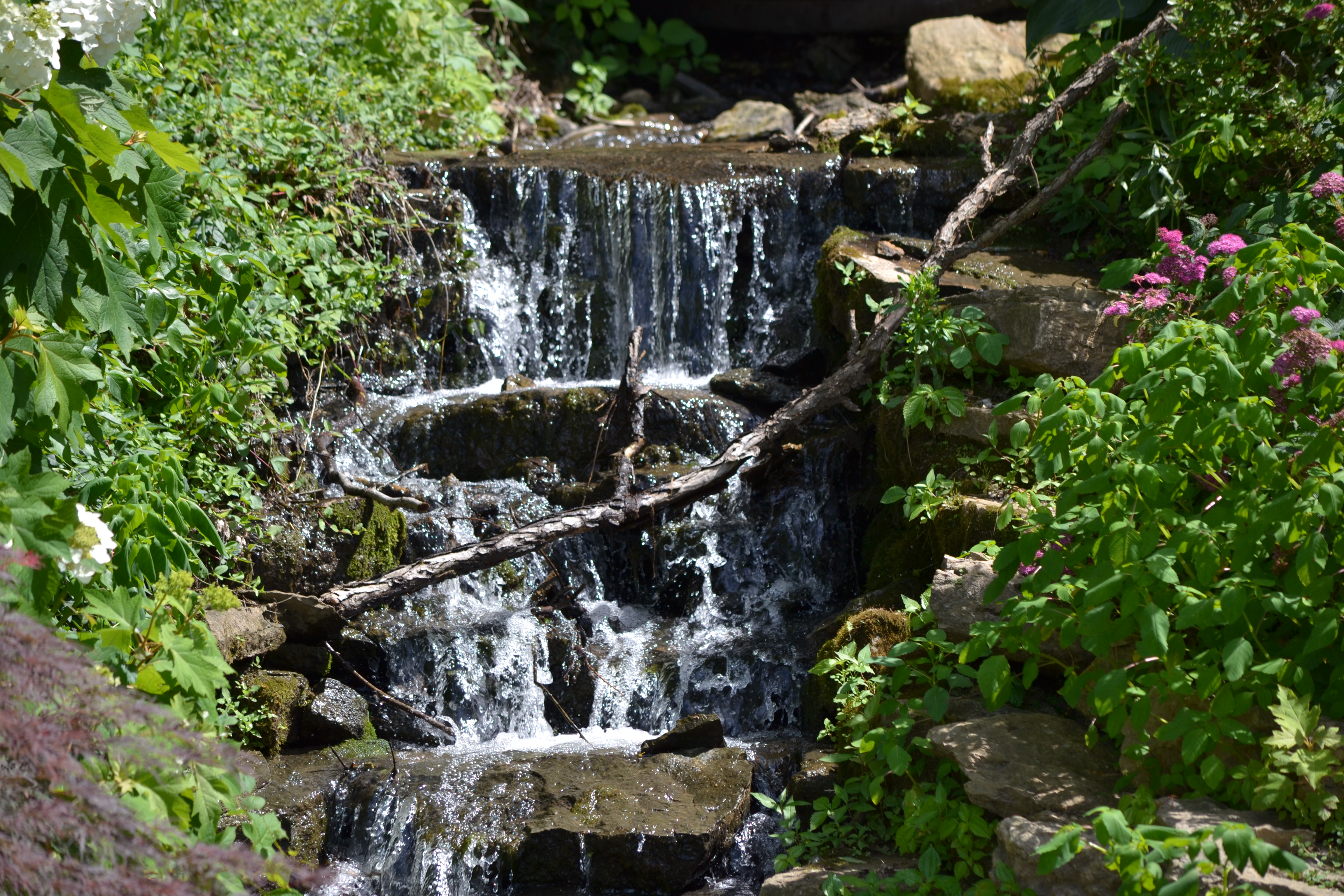 DSC_0303