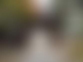 蔵日和ティータイム