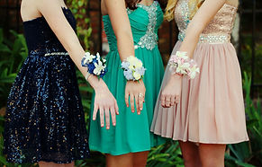 Girls Dressed for School Dance