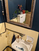 Lavabo antiguo con grifería expuesta, espejo con marco ornamentado, plantas y pequeños objetos