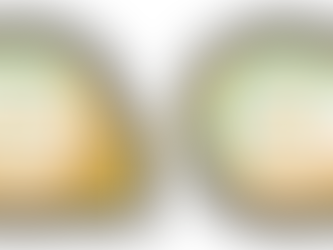 Renovação Estatuto Top 10