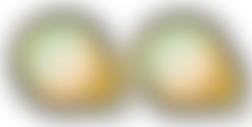 Renovação Estatuto Top 10 2024