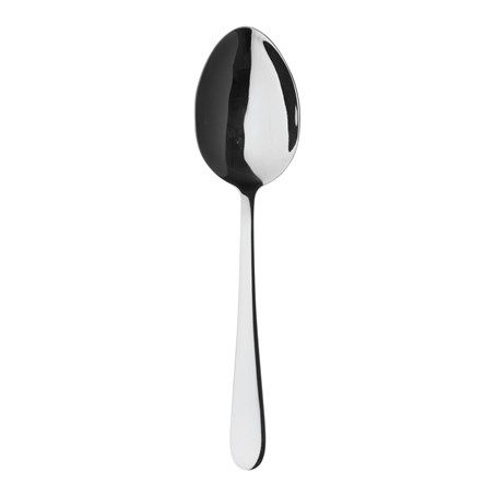 Windsor Serving Spoons 18/10