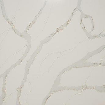 Trends Calacatta Coloma.png