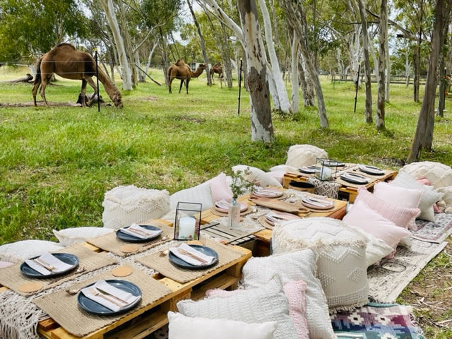 luxury nature retreat with camels and picnic