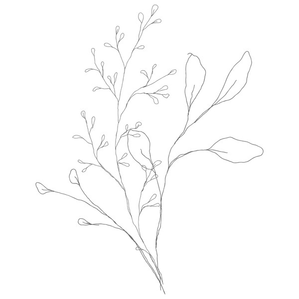 bouquet-01_edited.png