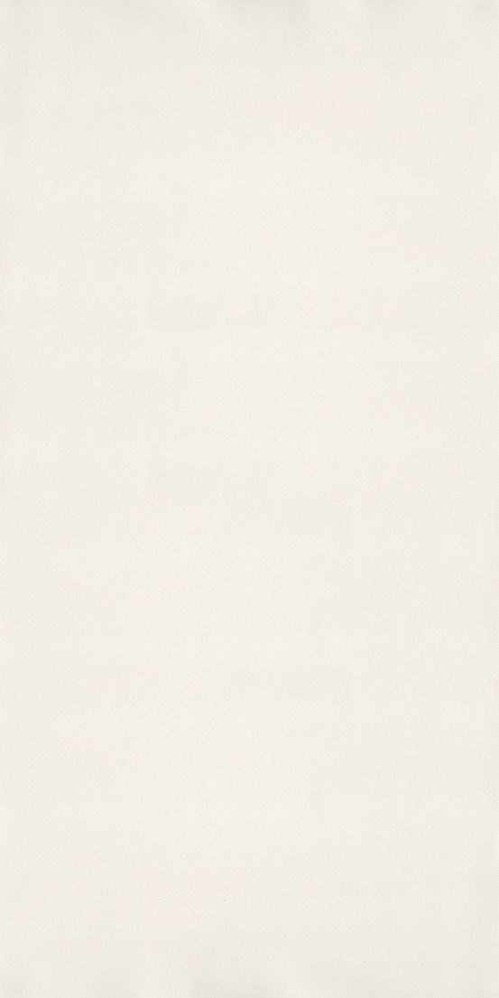 fondo largo.png