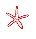 Untitled_Artwork-13.png