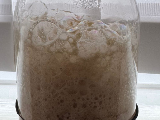 Sourdough Starter