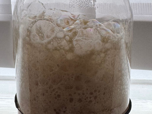 Sourdough Starter