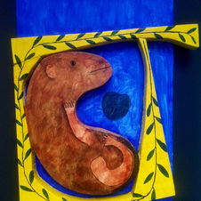 F Castor at home.jpg