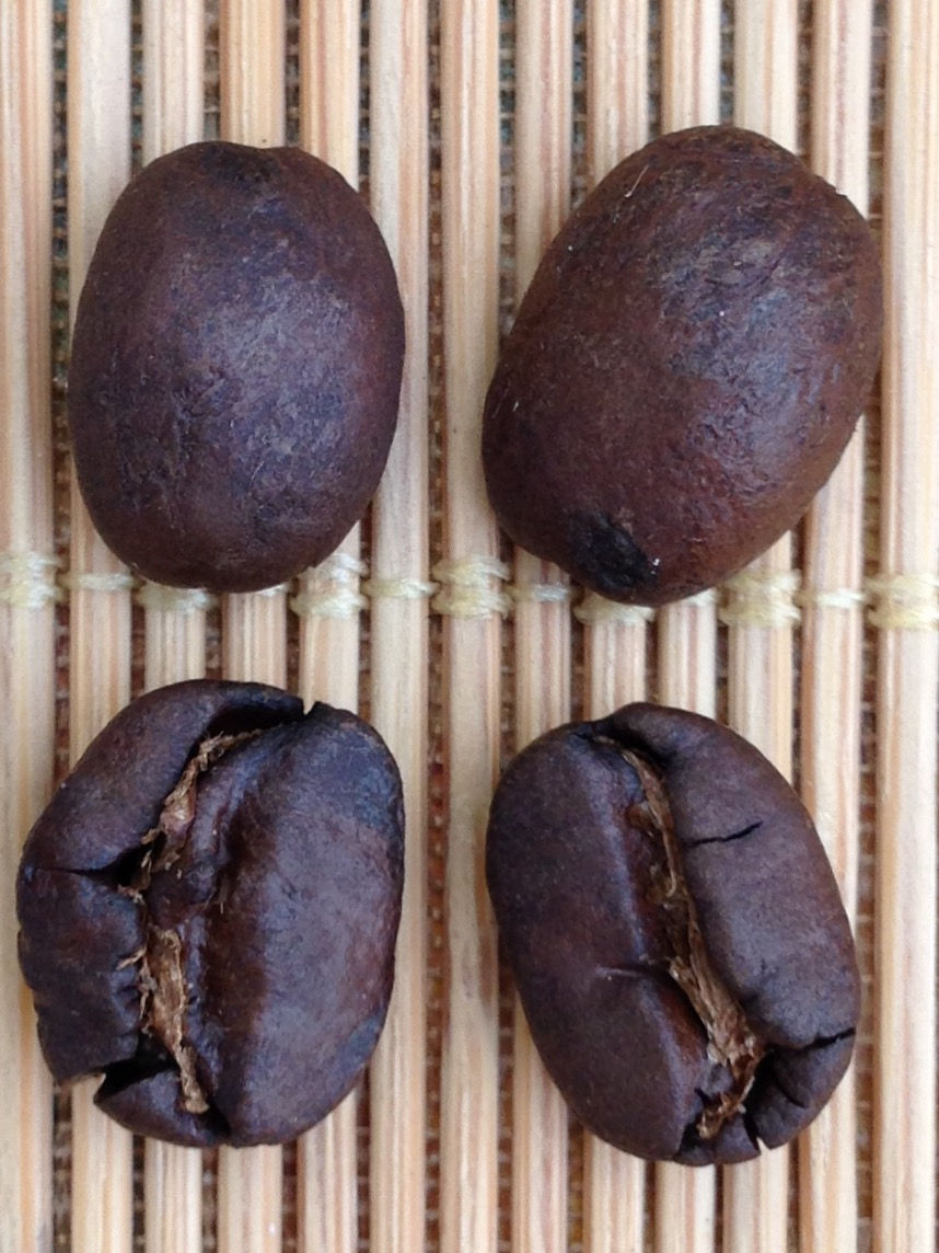 High Beans gets wrinkles on surface. Coffee aroma fades in, to replace its agriculture personality.