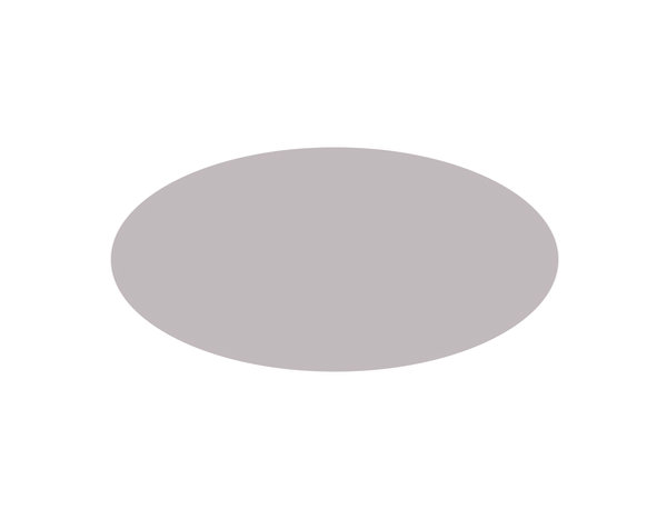 fleck braun website.png