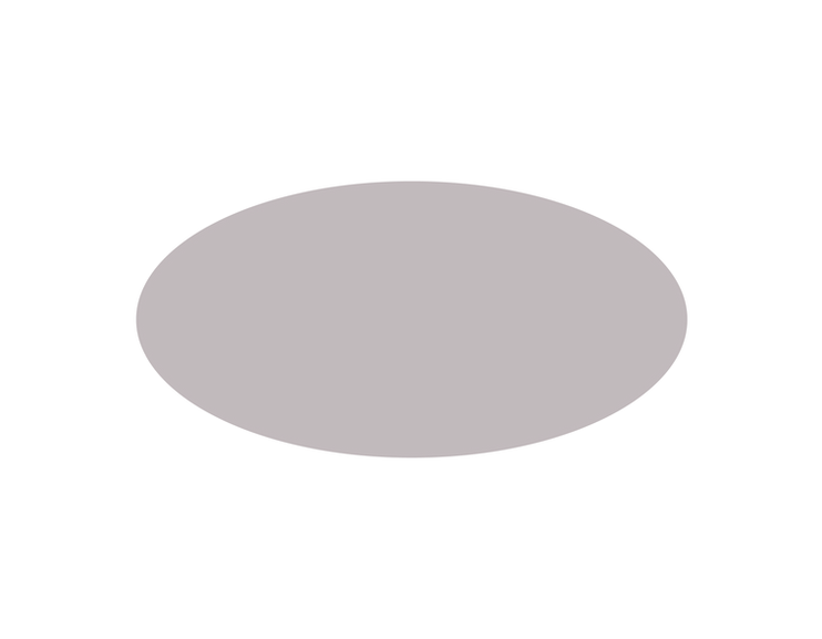 fleck braun website.png