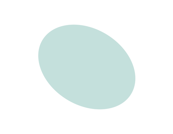 fleck website.png