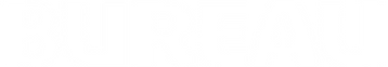 logo bureau de fatos neg.png