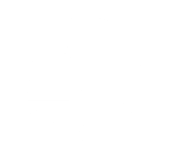 35anos-3.png