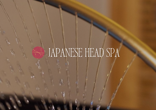 DOSSIER PARA FRANQUICIADOS - INTR (FR).png