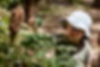 Karridale Cottages Nature Play Scavenger Hunt_47.JPG