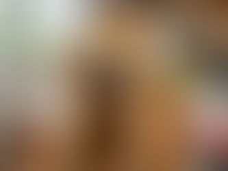 Hund wartet in der Küche auf ein Hundeleckerli