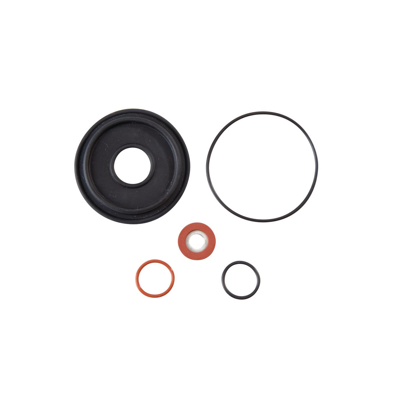 WATTS 009 M2 - 3/4" - RV Rubber Kit - (0886998)
