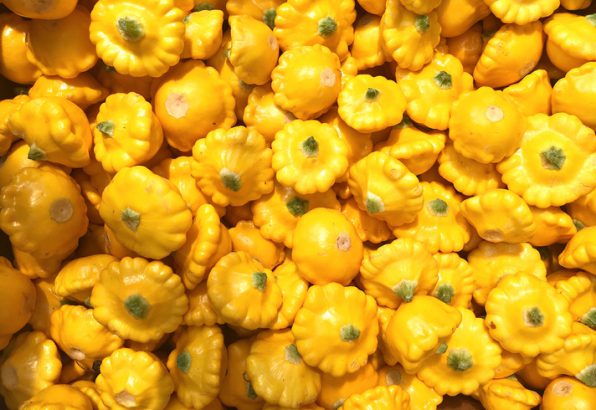 Pâtisson Jaune
