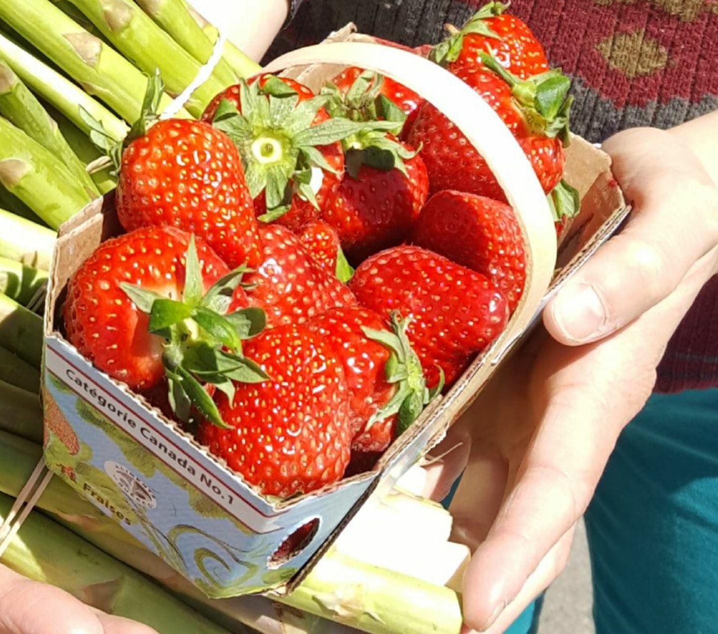 Fraise M'zel R