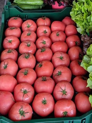 Tomate Financière du Québec