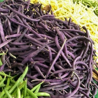 Haricot Velvety